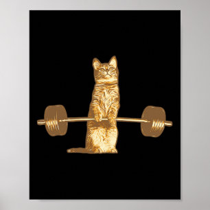 Poster Gato Levanta Peso Miado Halterofilismo Musculação 