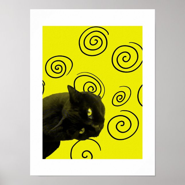 Poster Gato Louco (Frente)
