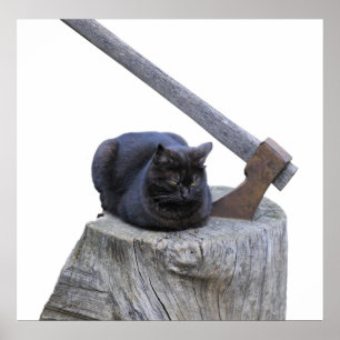 Póster gato, machado e vida