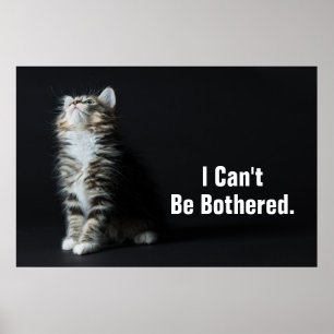 Póster Gato malhado alto