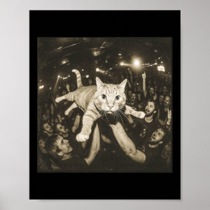 Poster Gato Meme de Surf na Multidão Disco Festa Gangue d