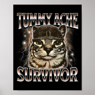 Poster Gato Meme Sobrevivente de Dor de Barriga Engraçado