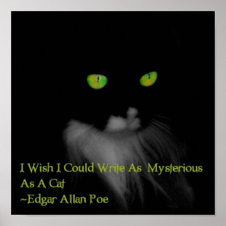 Poster Gato Misterioso