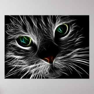 Póster Gato Místico