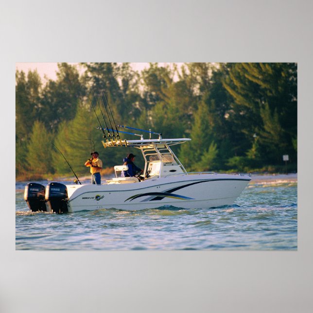 Poster Gato Mundial 250SF (Frente)