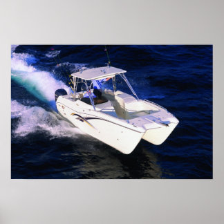 Póster Gato Mundial 270SD