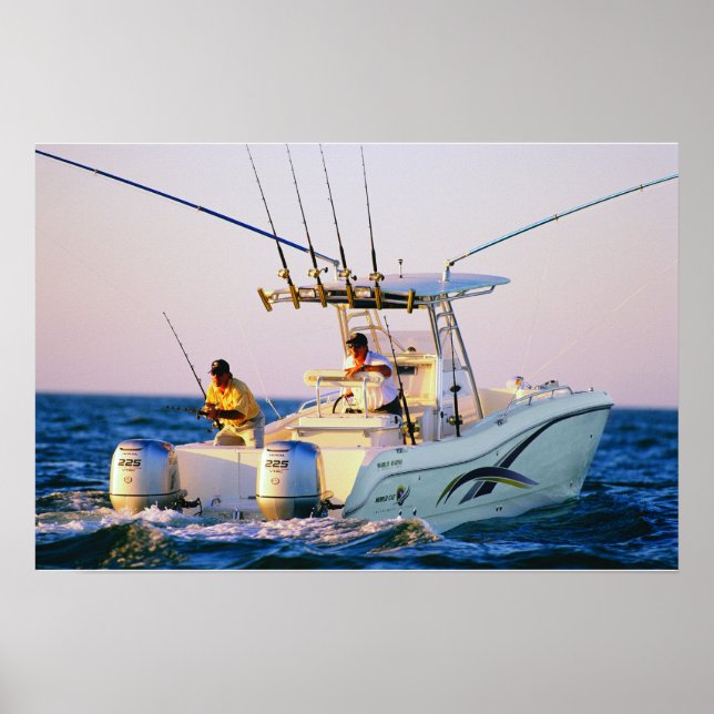 Póster Gato Mundial 270TE (Frente)