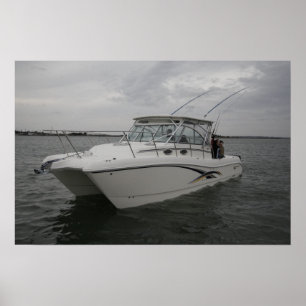 Poster Gato Mundial 320EC