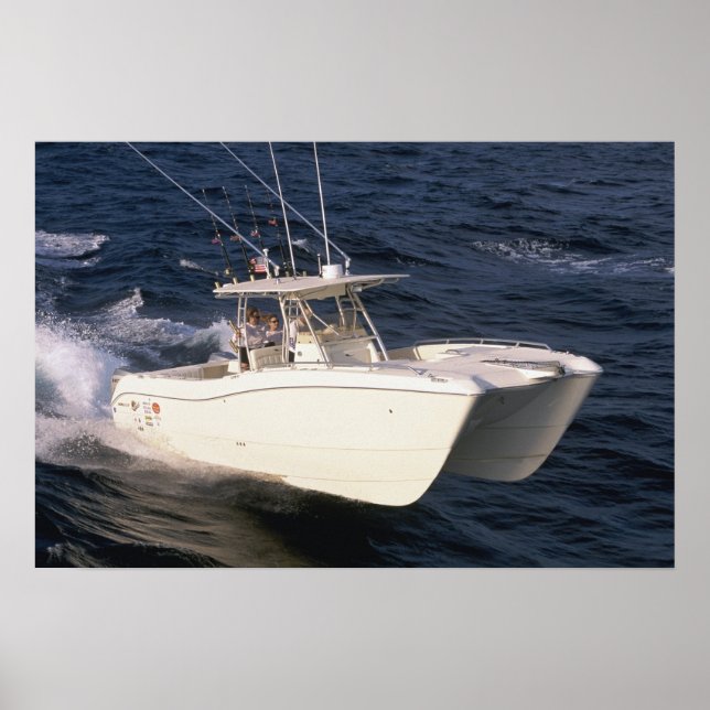 Póster Gato Mundial 330TE (Frente)