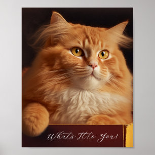 Poster Gato Na Caixa Do Calçado - Gato Sarcástico