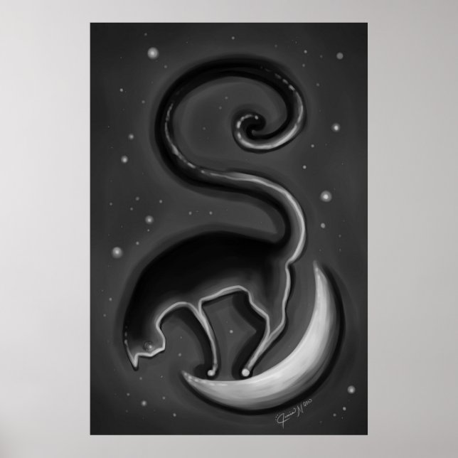 Poster Gato na lua (Frente)