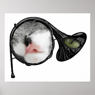 Poster gato na trompa francesa
