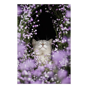 Póster Gato nas Flores
