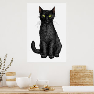 Poster Gato negro