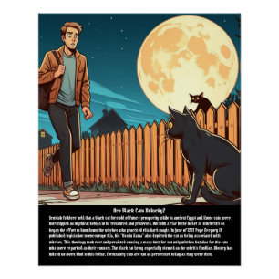 Póster Gato Negro