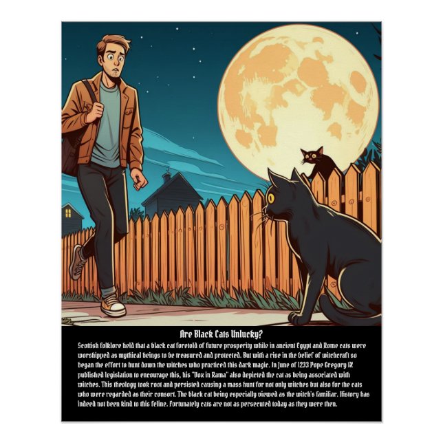 Póster Gato Negro (Frente)