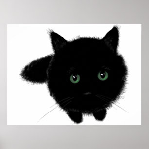 Póster Gato Negro