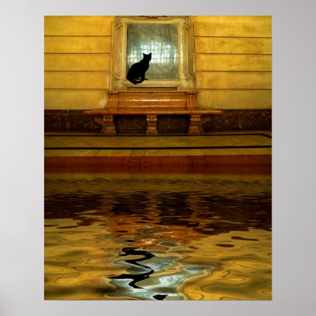 Póster Gato Negro acima da água (Frente)