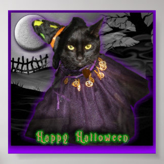 Poster Gato Negro Halloween
