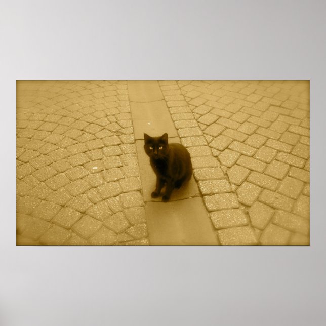 Póster Gato Negro Na Sepia (Frente)