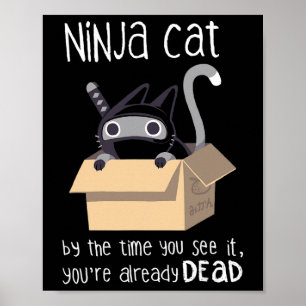 Poster Gato Ninja