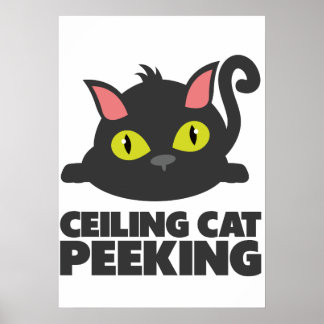 Poster Gato no Teto Espiando Arte de Meme Divertido da In
