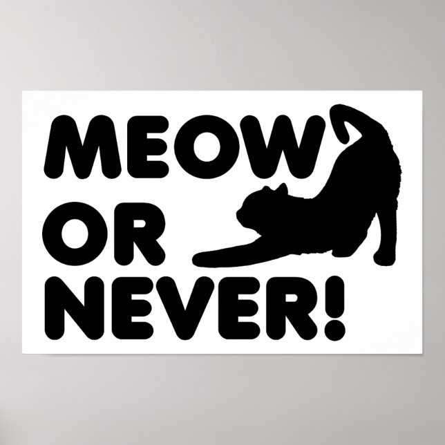 Poster Gato ou Nunca Cartaz Divertido (Frente)