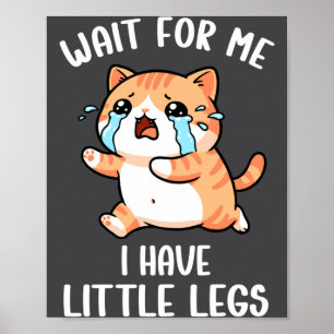 Poster Gato Pernas Curtas Engraçado Meme Espere Por Mim,