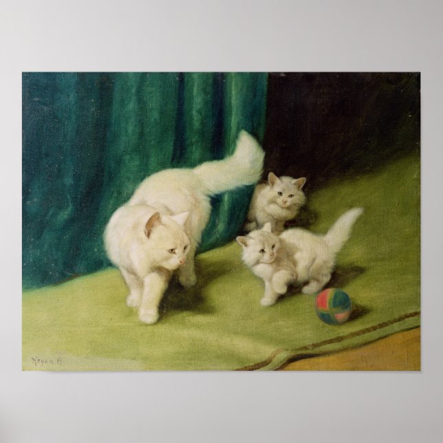 Poster Gato Persa Branco com Dois Gatinhos (Frente)