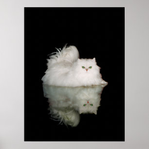 Poster Gato Persa com Olhos Verde Jade