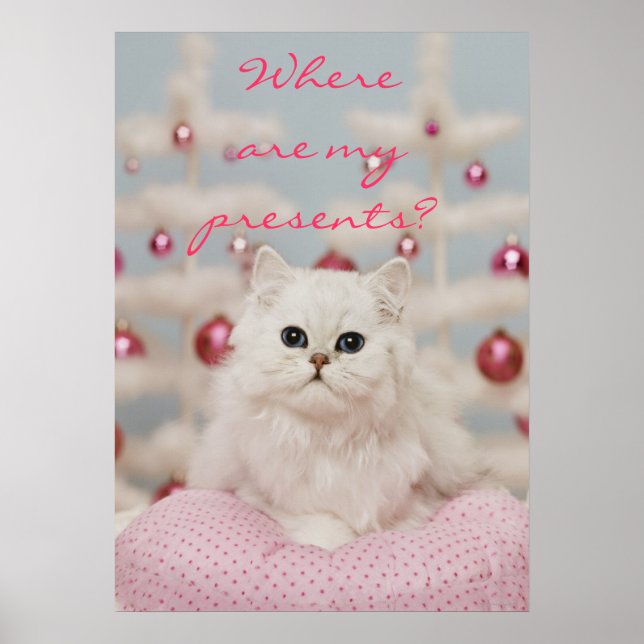 Póster Gato persa sentado no travesseiro rosa (Frente)
