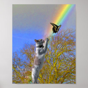 Poster - Gato Perseguindo Borboleta