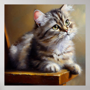 Poster Gato Pixie-bob
