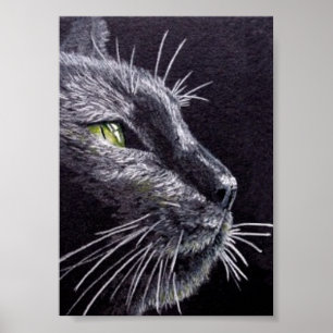 Póster Gato preto