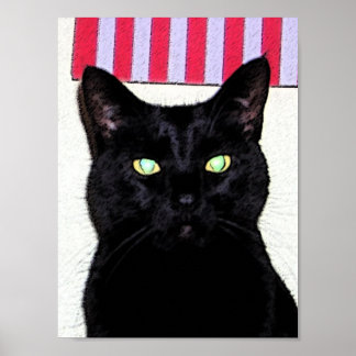 Poster Gato Preto / Azul Branco Vermelho
