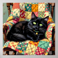 Gato Preto Bonito na Cadeira Rochosa