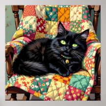 Gato Preto Bonito na Cadeira Rochosa