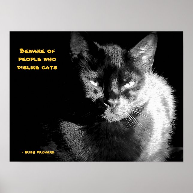 Poster Gato Preto Brilhante com provérbio (Frente)