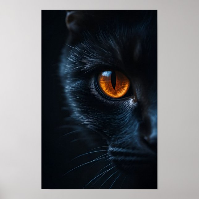 Poster Gato Preto com Olho Âmbar (Frente)
