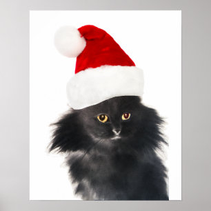 POSTER GATO PRETO DE NATAL COM CHAPÉU DE PAPAI NOEL