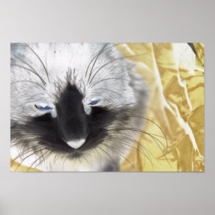 Póster Gato Preto e Branco
