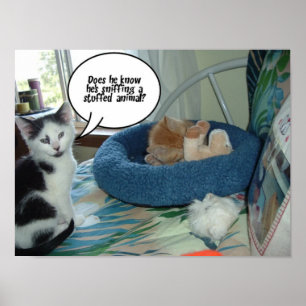 Póster Gato Preto e Branco