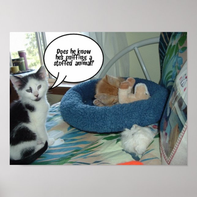 Póster Gato Preto e Branco (Frente)