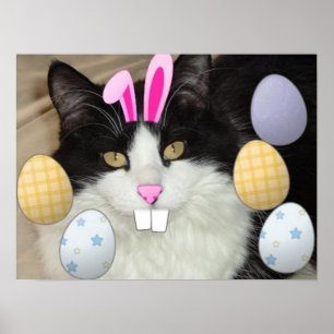 Póster Gato preto e branco da páscoa
