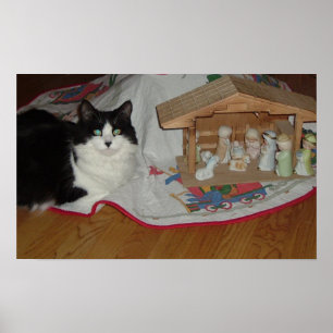 Póster Gato preto e branco de Natal