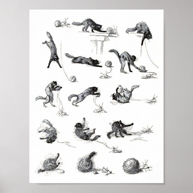 Póster Gato preto e fio de lã, Alexandre Steinlen (Frente)