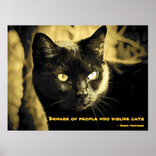 Poster Gato preto Meme com provérbio irlandês