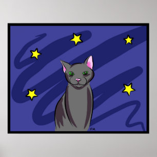 Póster Gato preto na noite