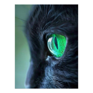 Póster Gato Preto Olho Esmeralda