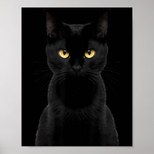 Poster Gato Preto Olhos Amarelos Gato Bravo Gato Olhando